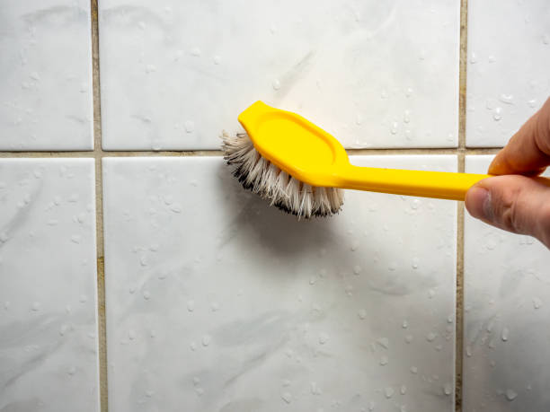 Layton, UT Mold Removal Company