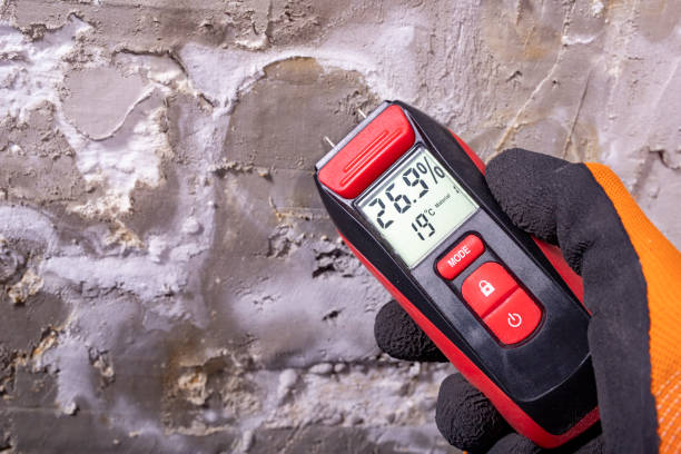 Best Mold Testing  in Layton, UT