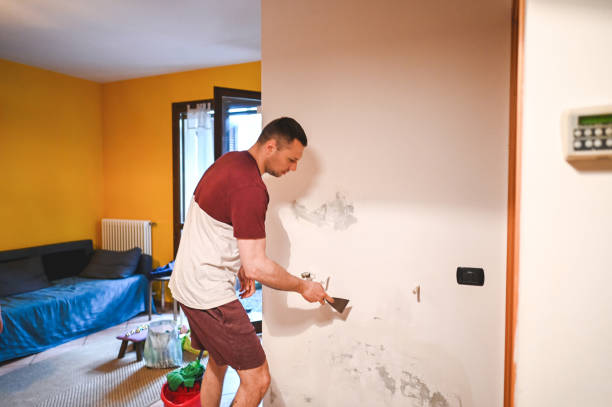 Best Attic Mold Removal  in Layton, UT